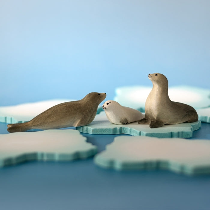 Bumbu | Harp Seal