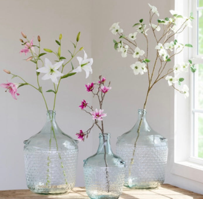 Oriental Lily Stem