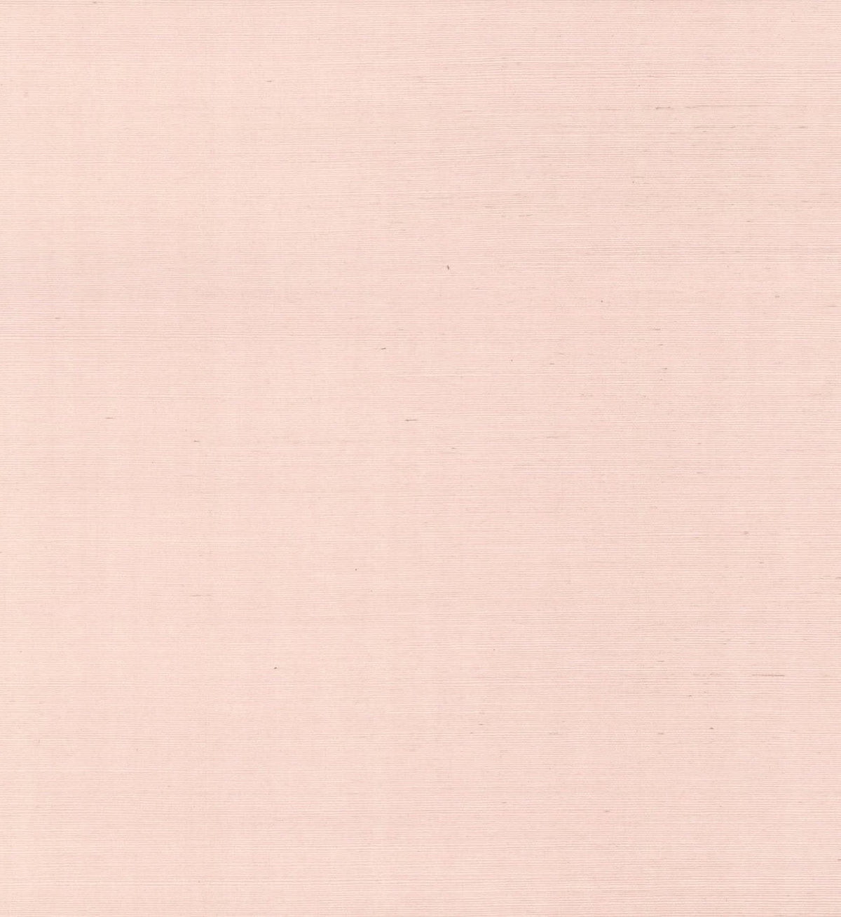 Palette Wallpaper - Blush