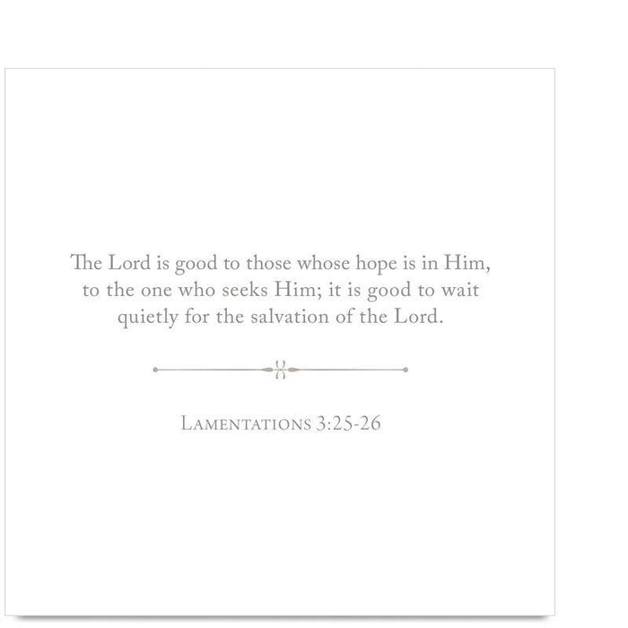 100 Days of Scripture Cards - The Preppy Bunny