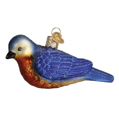 Hanging Western Bluebird