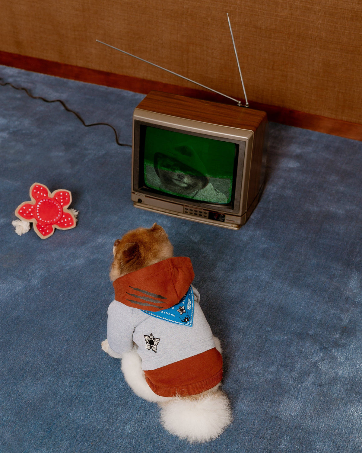maxbone - Stranger Things x maxbone Signature Dog Hoodie