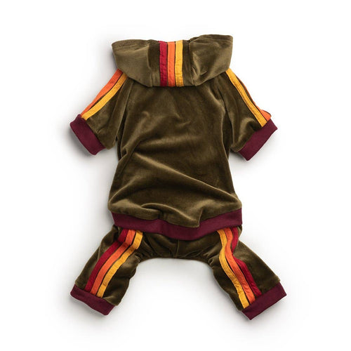 Fab Dog - Olive Velour Jogger