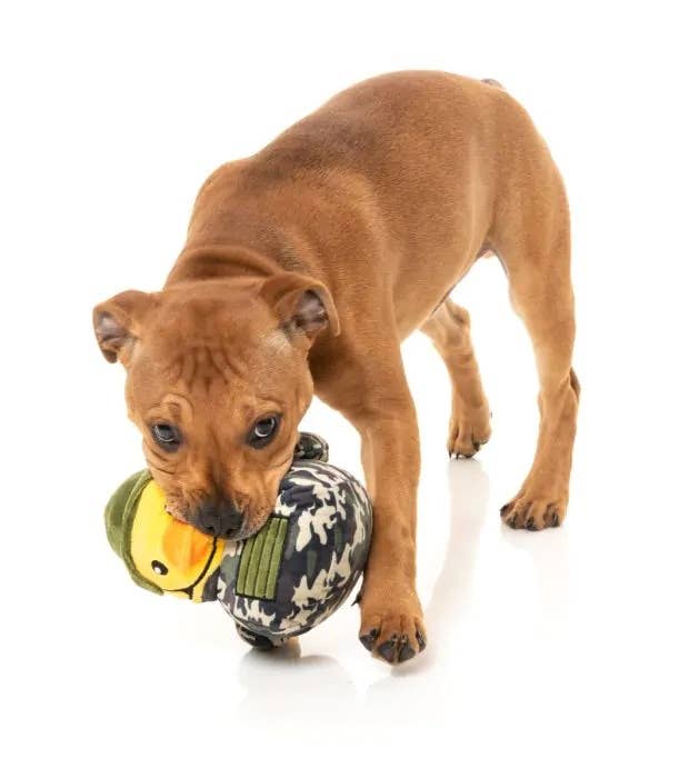 FuzzYard Commanduck Plush Dog Toy
