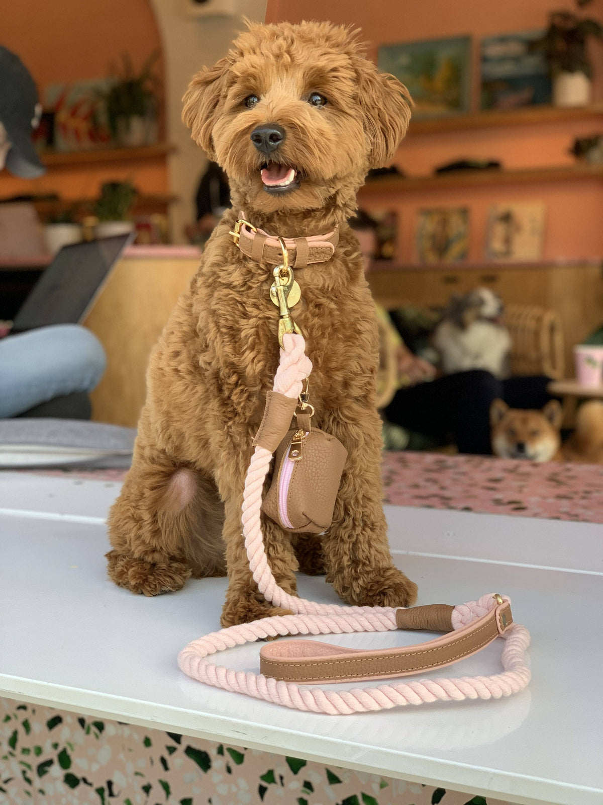 PoisePup - LEASH - BELLA ROSE