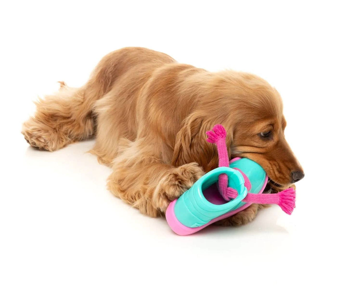 FuzzYard Fresh Kicks N' Licks Dog Chew Toy