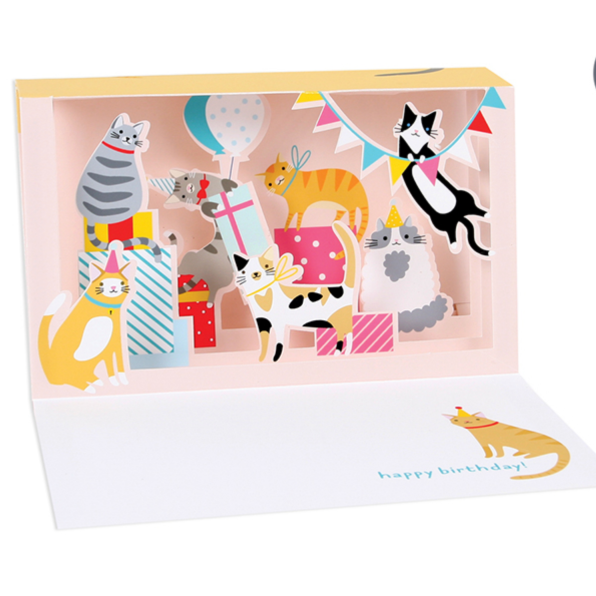 Cat Party :pop-out & light up -birthday