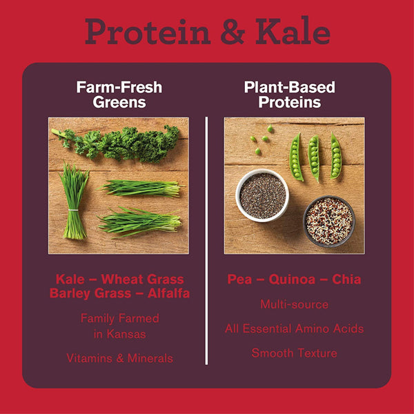 Amazing Grass Protein & Kale 15 serve