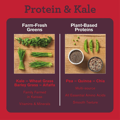 Amazing Grass Protein & Kale 15 serve