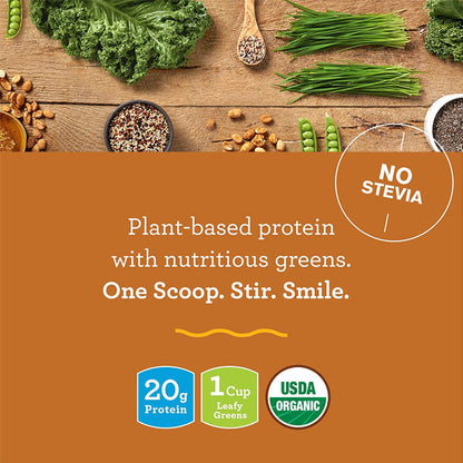 Amazing Grass Protein & Kale 15 serve