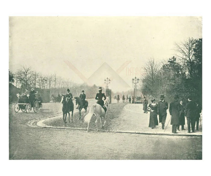 Bois de Boulogne, Paris - VINTAGEARTREPRINTS.COM