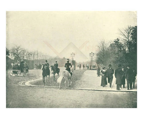 Bois de Boulogne, Paris - VINTAGEARTREPRINTS.COM