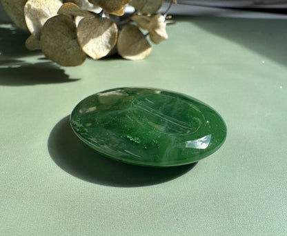 Canadian jade worry stone polished oval on a green surface