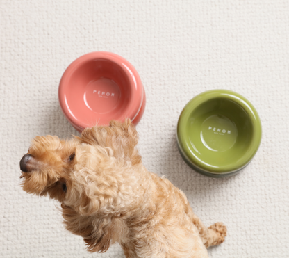 PEHOM - Soufflé Pet Bowl - Amber Orange