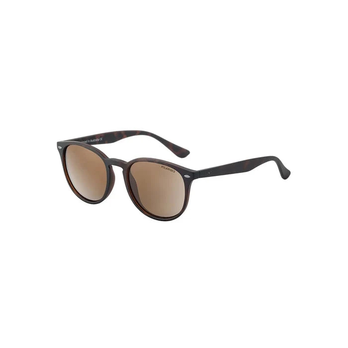 Polarised sunglasses with tortoiseshell frames and brown lenses, ideal for watersports in Whitstable, Kent.
