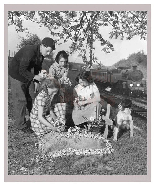 Dog Funeral - VINTAGEARTREPRINTS.COM