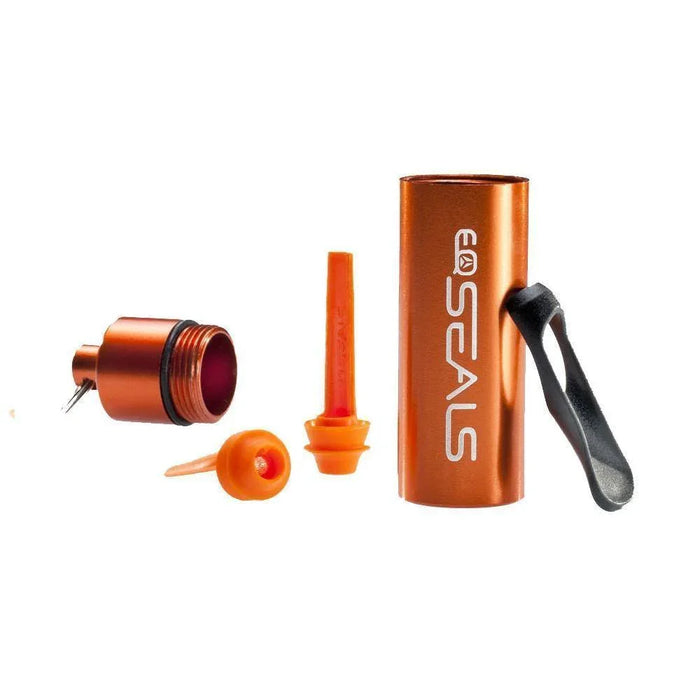 EQ Seals watersport ear plugs with orange case and accessories