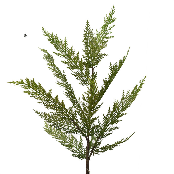 Fresh Touch Lebanon Cedar Spray 36’’