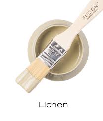 Fusion Mineral Paint - Lichen 1.25oz.