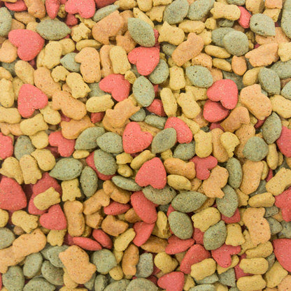 Higgins Intune Macaw Food