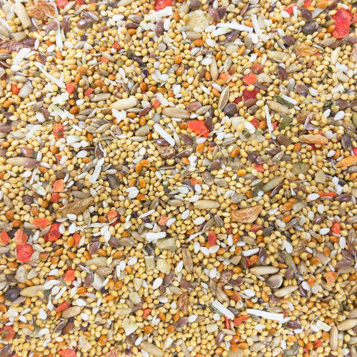 Higgins Sunburst Gourmet Natural Fruits & Veggies (Small) Bird Treats