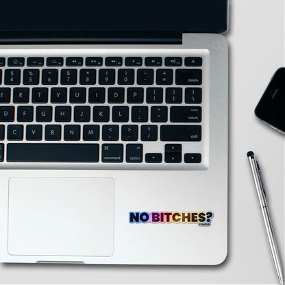 No Rizz Detected Holographic Stickers - Holographic stickers | STICK IT UP