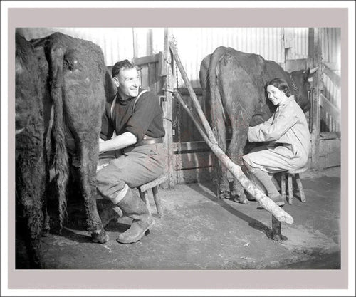 On the Land 17 - Husbandry - Milking Cows - VINTAGEARTREPRINTS.COM