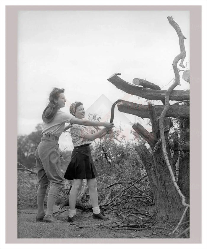 On the Land 18 - Arborists - VINTAGEARTREPRINTS.COM