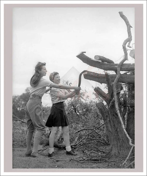 On the Land 18 - Arborists - VINTAGEARTREPRINTS.COM