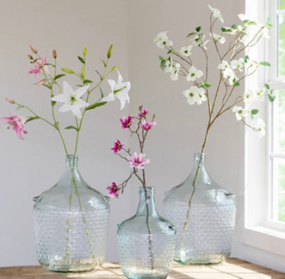 Oriental Lily Stem