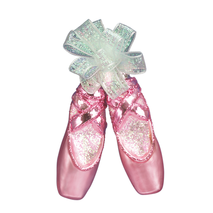 Pair Of Ballet Slippers