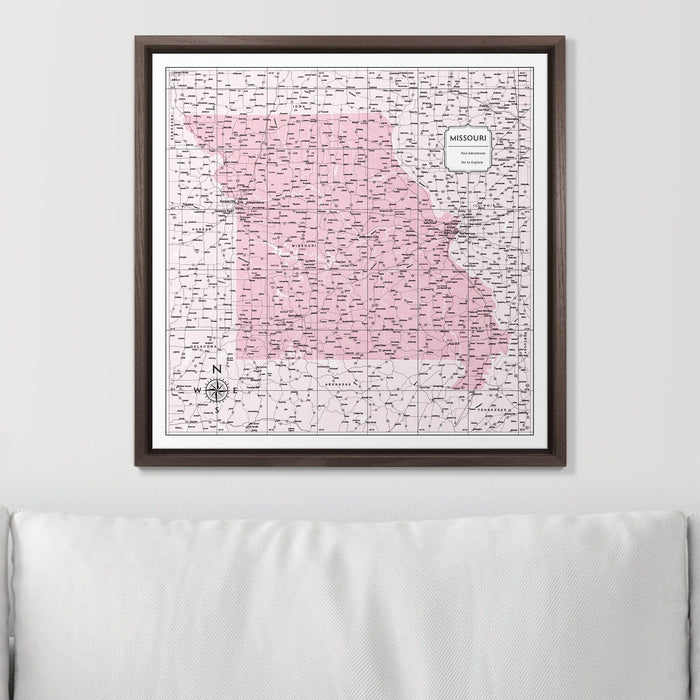 Push Pin Missouri Map (Pin Board) - Pink Color Splash CM Pin Board
