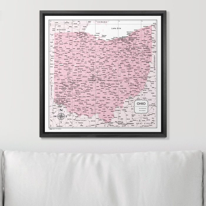 Push Pin Ohio Map (Pin Board) - Pink Color Splash CM Pin Board