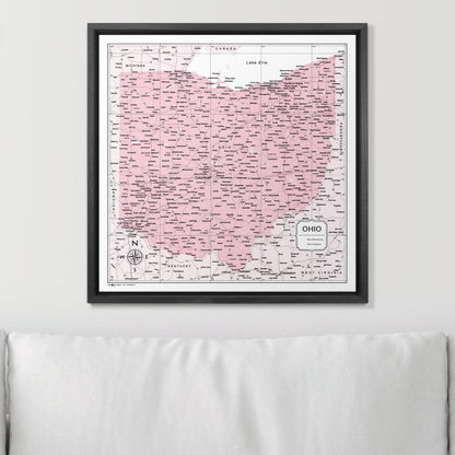 Push Pin Ohio Map (Pin Board) - Pink Color Splash CM Pin Board