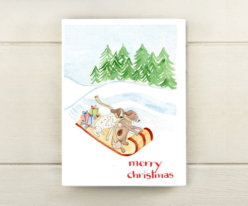 Sledding Dogs Holiday Card