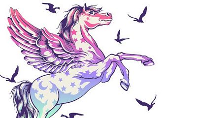 TPXSPG Tula Pink Pegasus Pencil Pouch