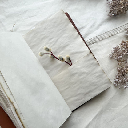 Travel Journal- Trees A House of Books