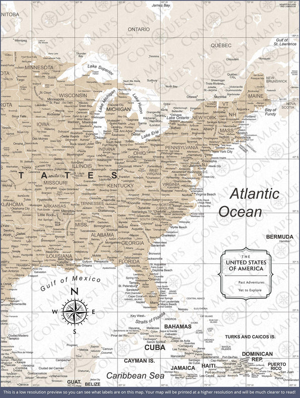 USA Map Poster - Light Brown Color Splash CM Poster