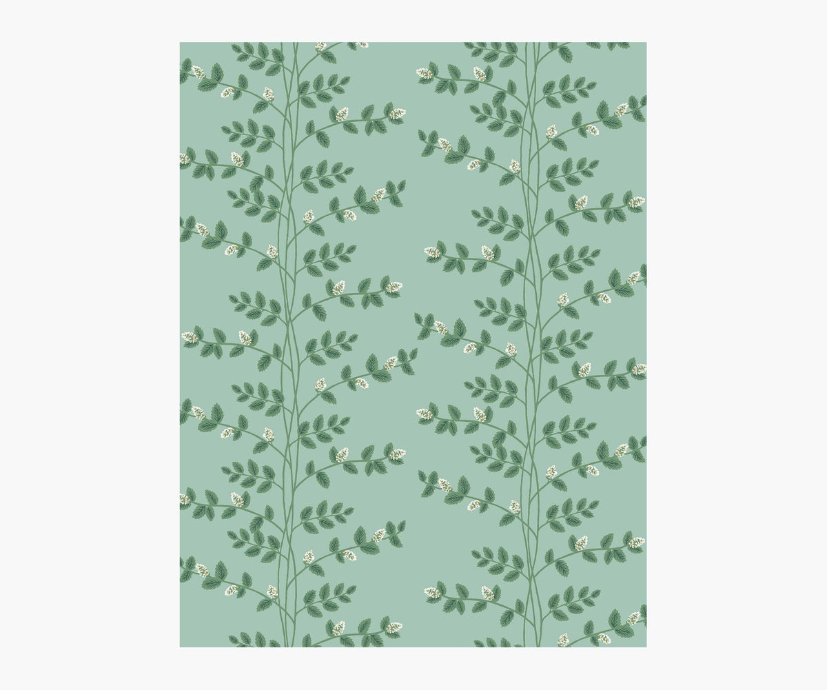 Climbing Vines Wallpaper Sample - Teal