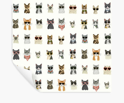 Cool Cats Peel & Stick Wallpaper - White Multi